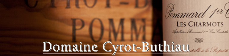  Domaine Cyrot-Buthiau - Accueil